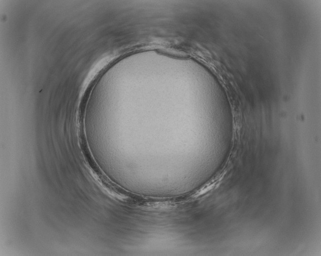 X0000070360102200606301841