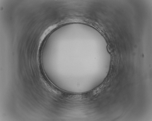 X0000070360104200606301841