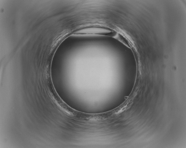 X0000070360105200606301841