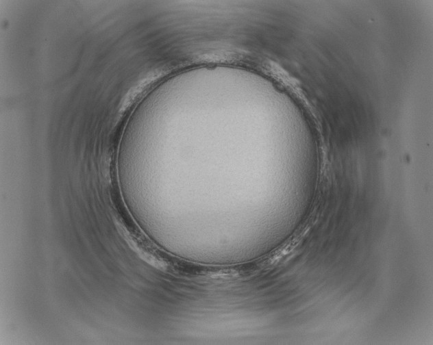 X0000070360106200606301841