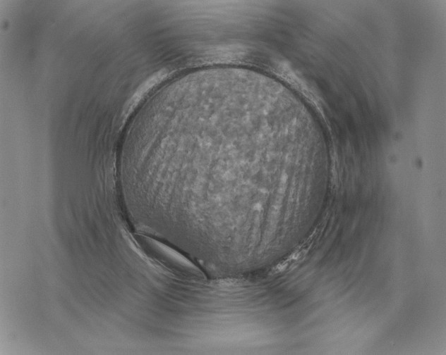 X0000070360107200606301841