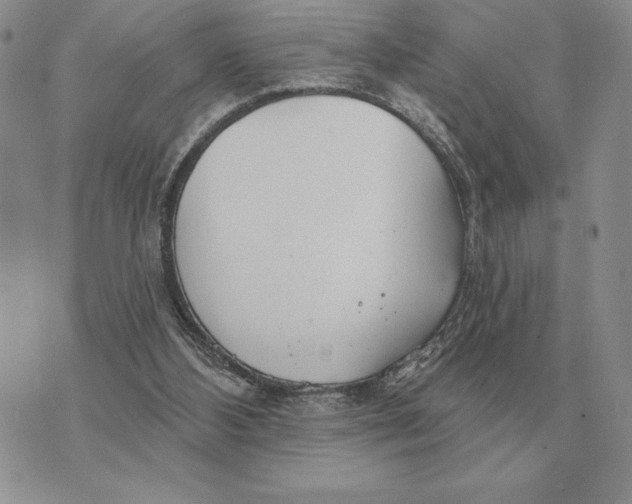 X0000070360108200606301841