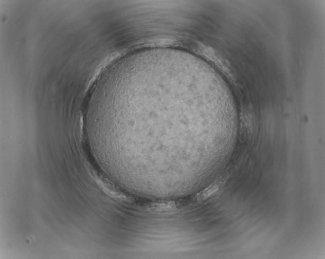 X0000070360110200606301841