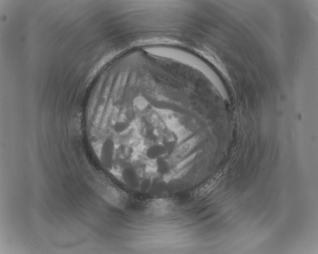 X0000070360111200606301841