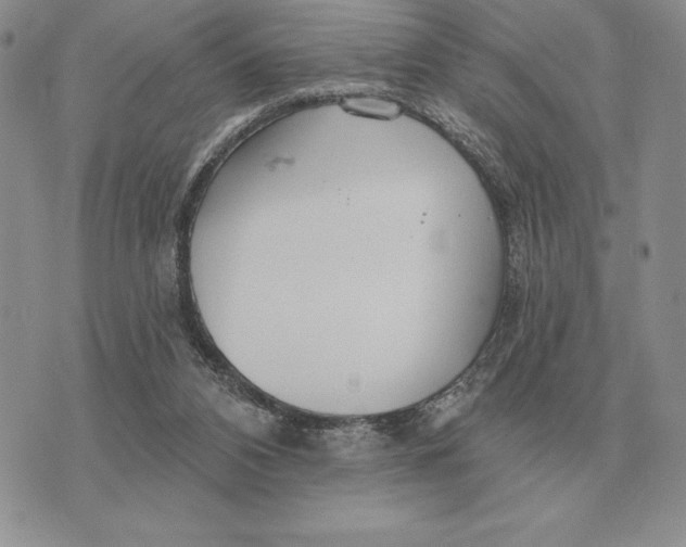 X0000070360112200606301840