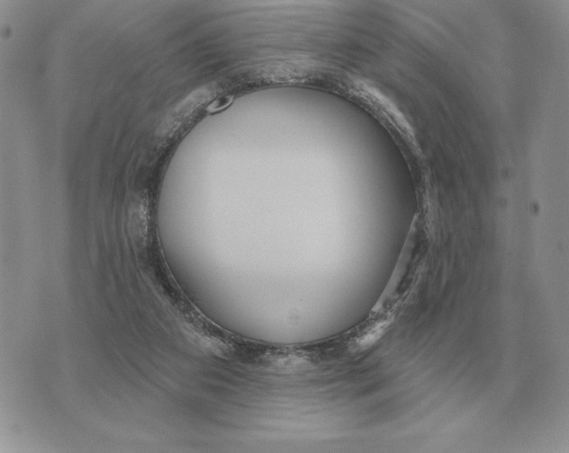 X0000070360113200606301840