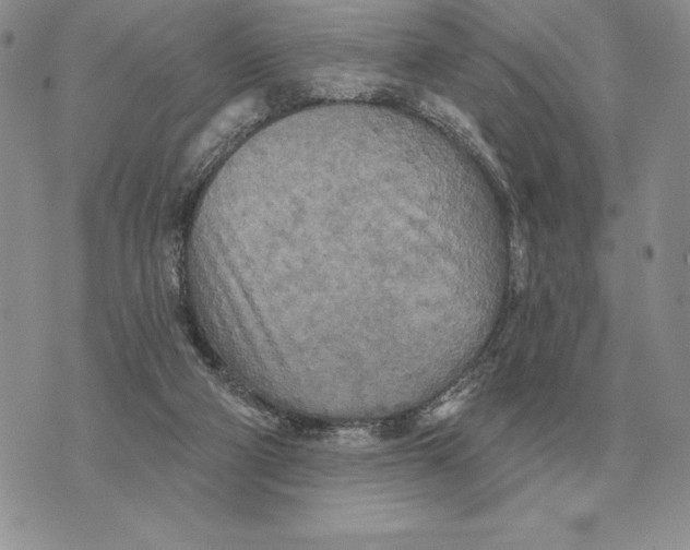 X0000070360114200606301840