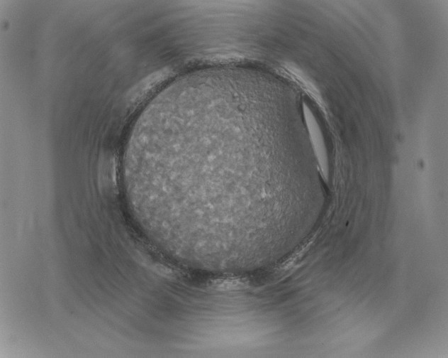 X0000070360115200606301840