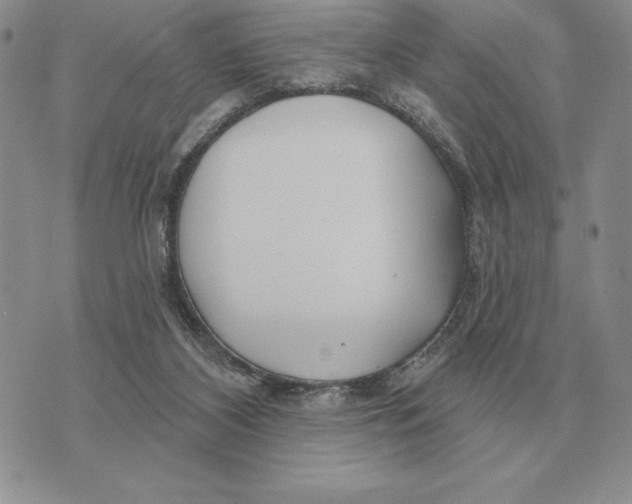 X0000070360116200606301840