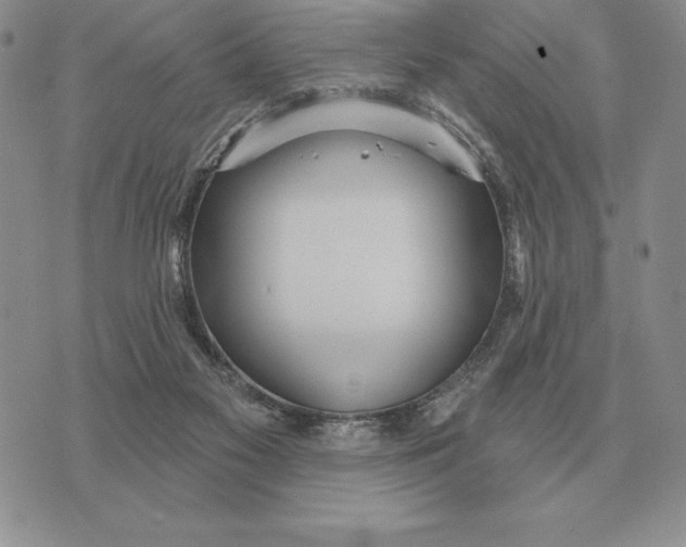 X0000070360117200606301840