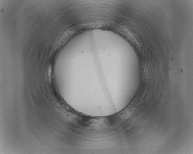 X0000070360118200606301840