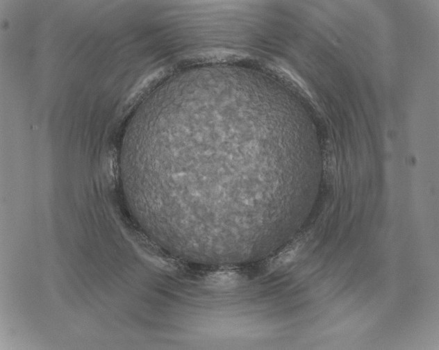 X0000070360119200606301840