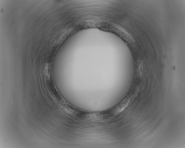 X0000070360121200606301840