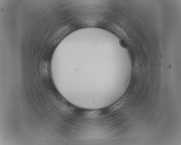 X0000070360122200606301840