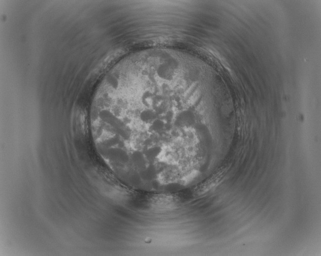 X0000070360123200606301840