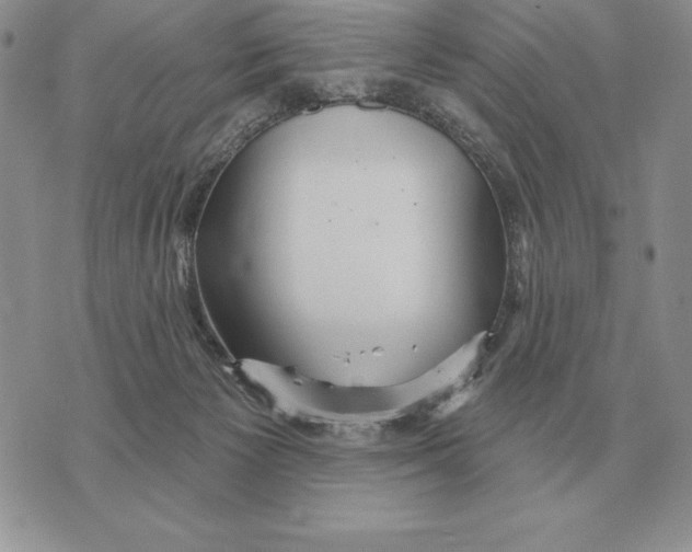 X0000070360125200606301840