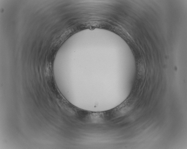 X0000070360126200606301840