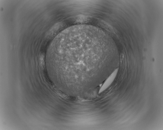 X0000070360127200606301840