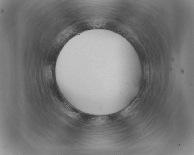 X0000070360128200606301840