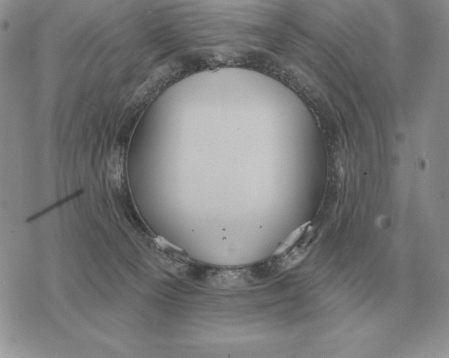 X0000070360129200606301840