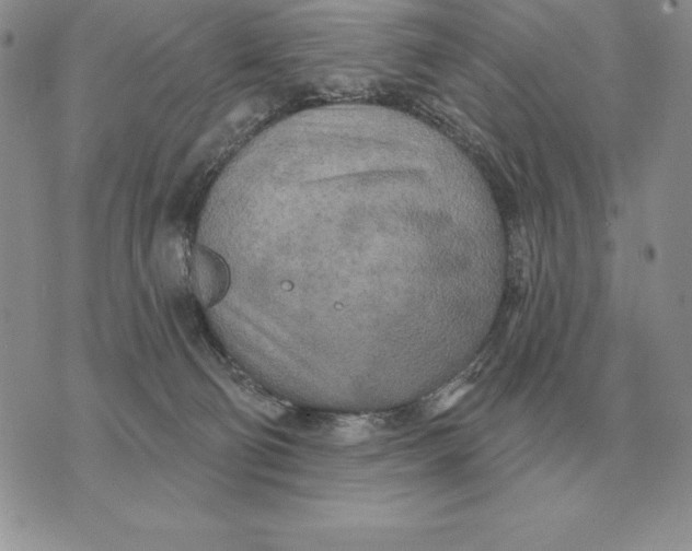 X0000070360130200606301840