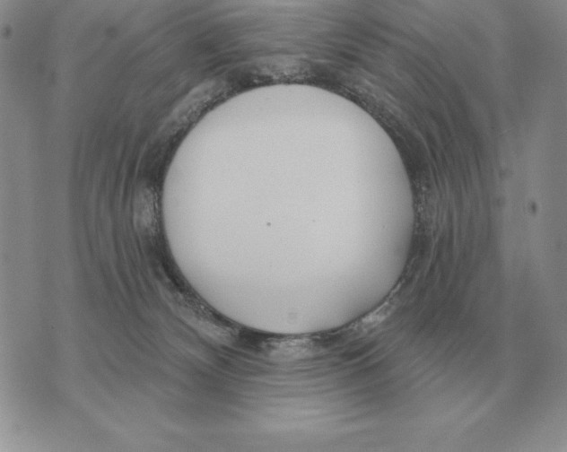 X0000070360132200606301840