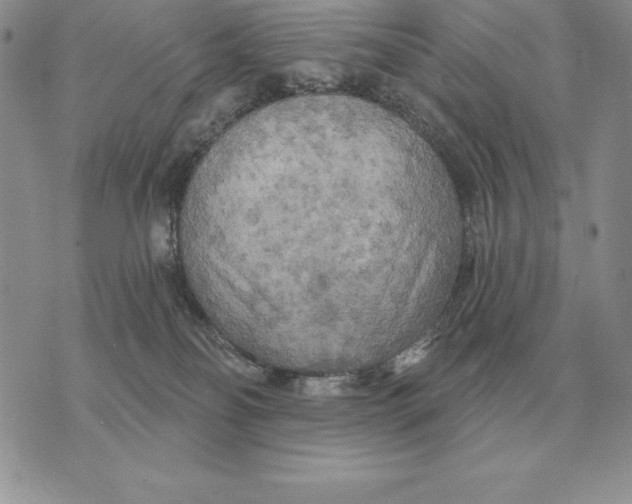 X0000070360134200606301840