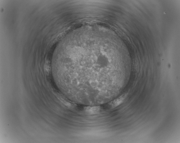 X0000070360135200606301840