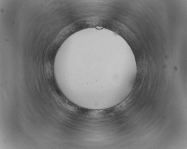 X0000070360136200606301840