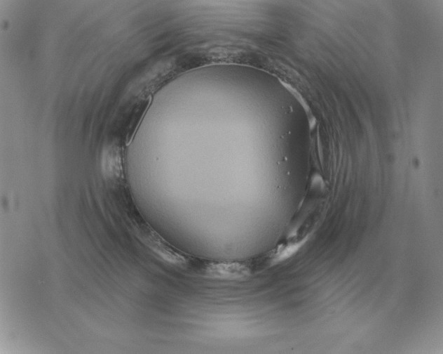 X0000070360137200606301840