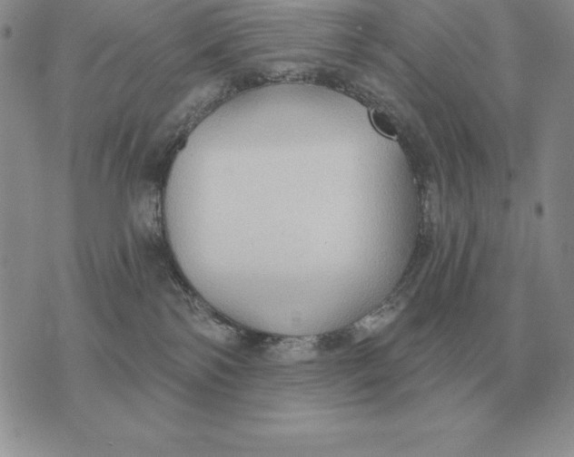 X0000070360138200606301840