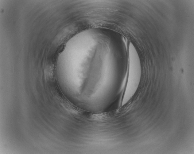 X0000070360139200606301840