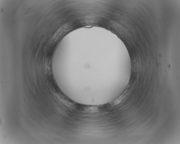 X0000070360140200606301840