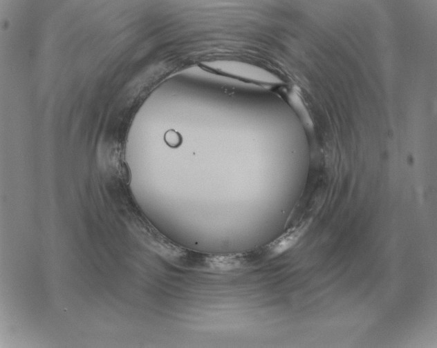 X0000070360141200606301840