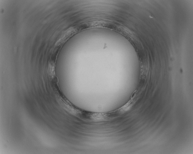 X0000070360142200606301840