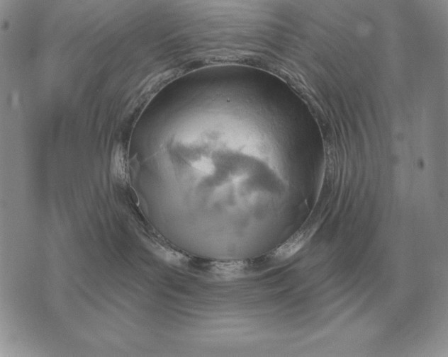 X0000070360143200606301840