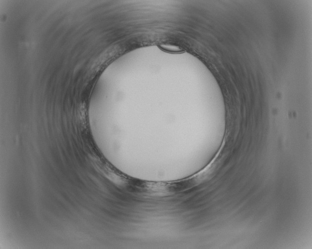 X0000070360144200606301840