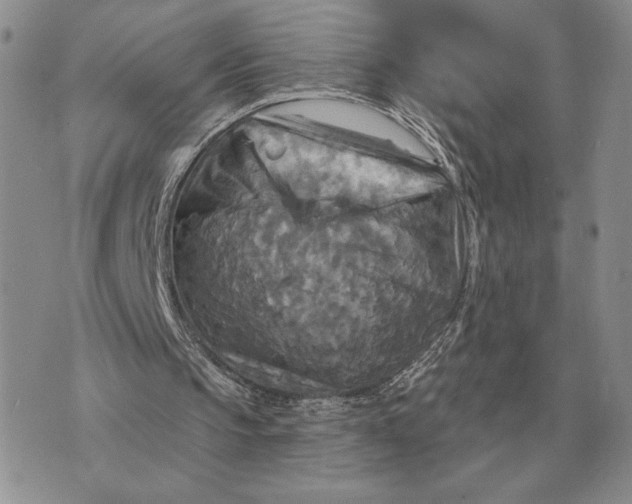 X0000070360145200606301839