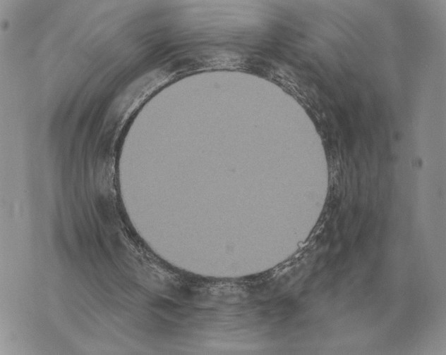 X0000070360146200606301839