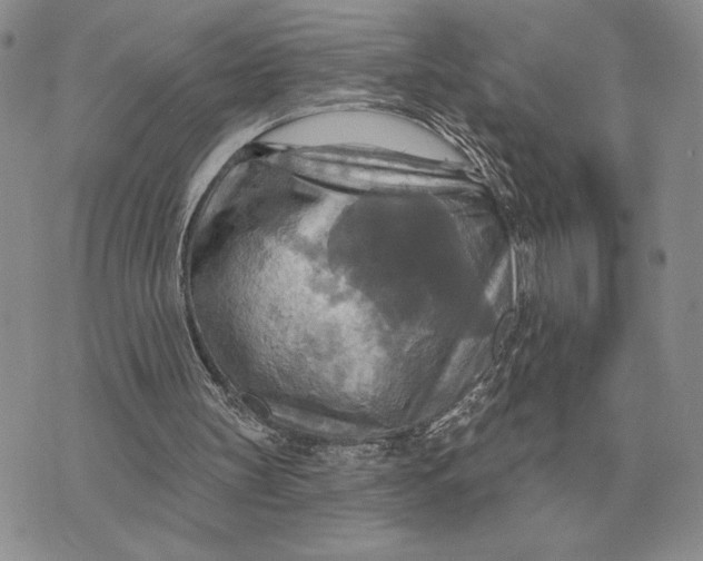 X0000070360147200606301839