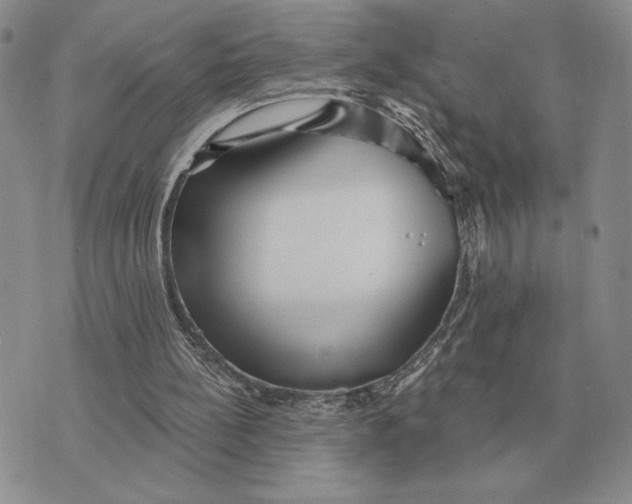 X0000070360148200606301839