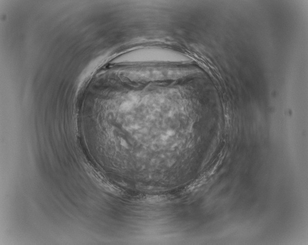 X0000070360149200606301839