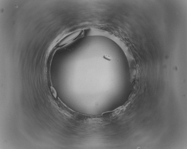 X0000070360150200606301839