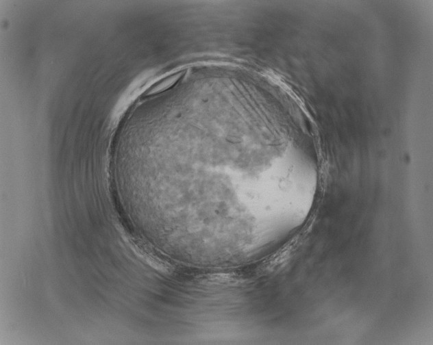 X0000070360151200606301839