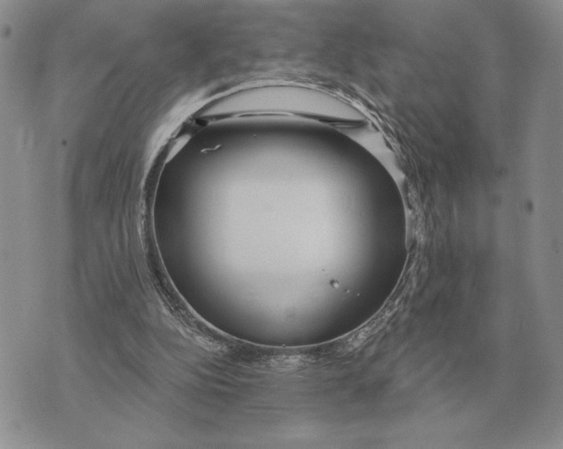 X0000070360152200606301839