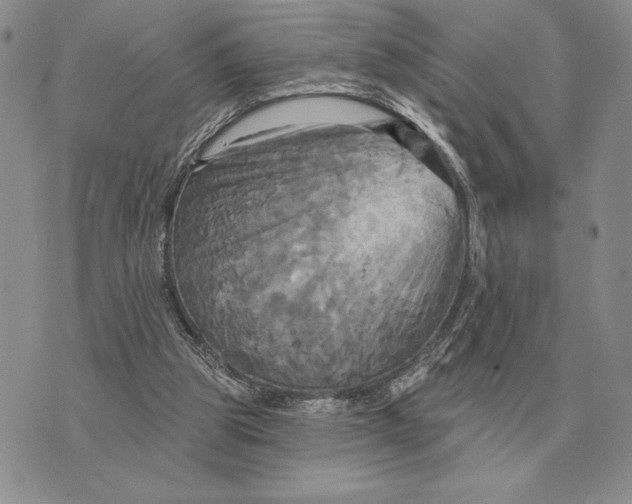 X0000070360153200606301839