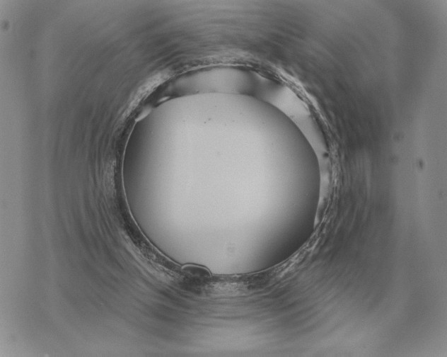 X0000070360154200606301839