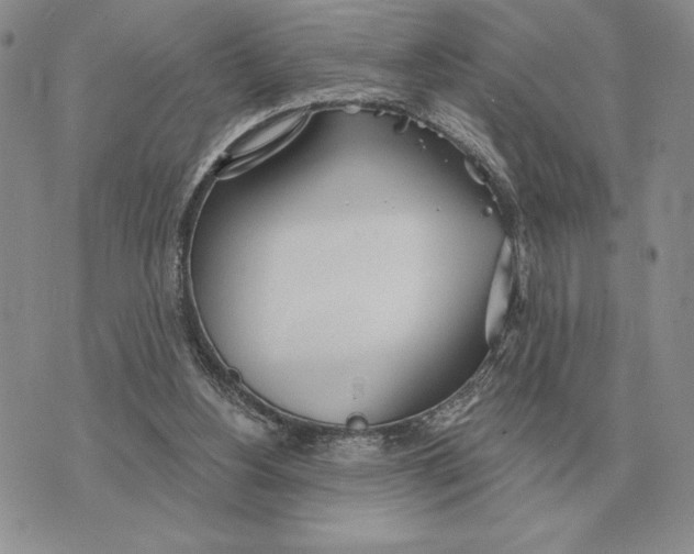 X0000070360156200606301839