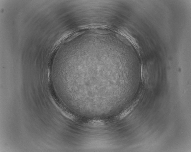 X0000070360157200606301839