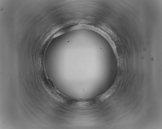 X0000070360158200606301839